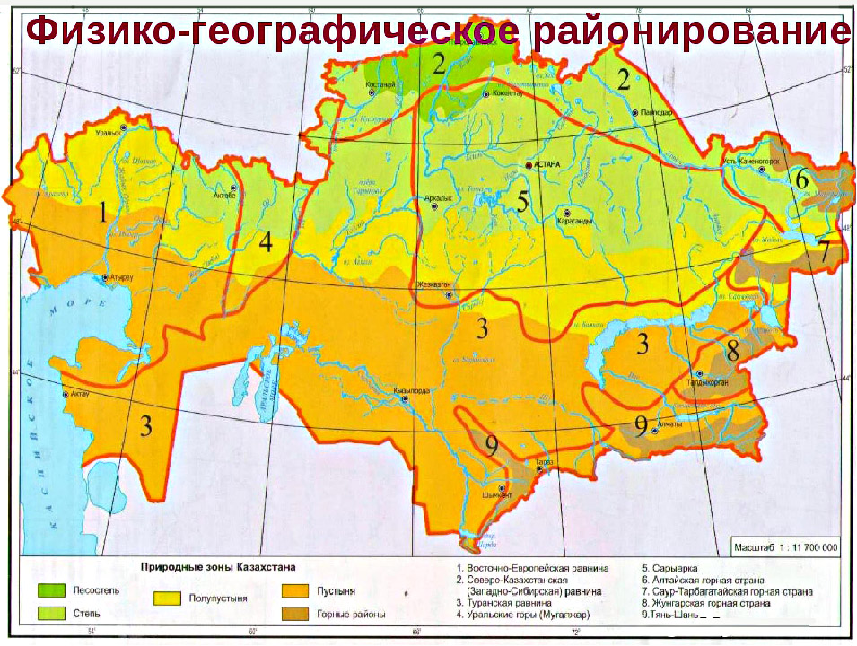 Реферат: Степи Казахстана 2